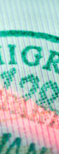 Migration: Freedom, Control, and Resilience