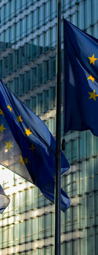 EU flags waving in front of a glass building at sunrise