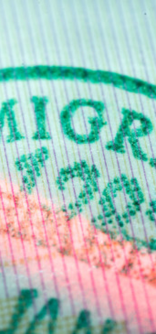 Migration: Freedom, Control, and Resilience