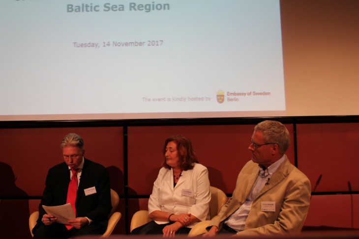 New Social Vulnerabilities in the Baltic Sea Region