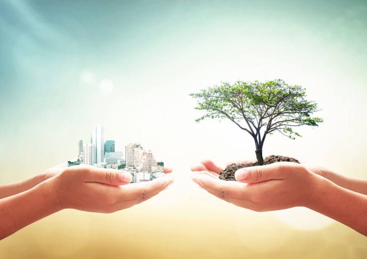 Two human hands holding big tree and city over blurred green forest background