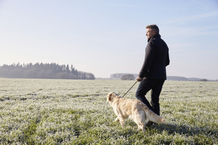 Walk Your Dog to Grow Old Healthier