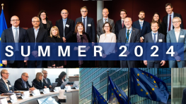 Collage of images, including a group photo of experts with the EU Vice President